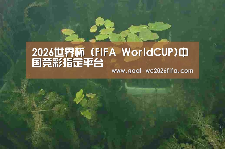 案例展示三(图1)