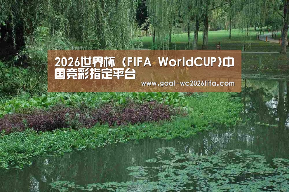 案例展示一(图1)