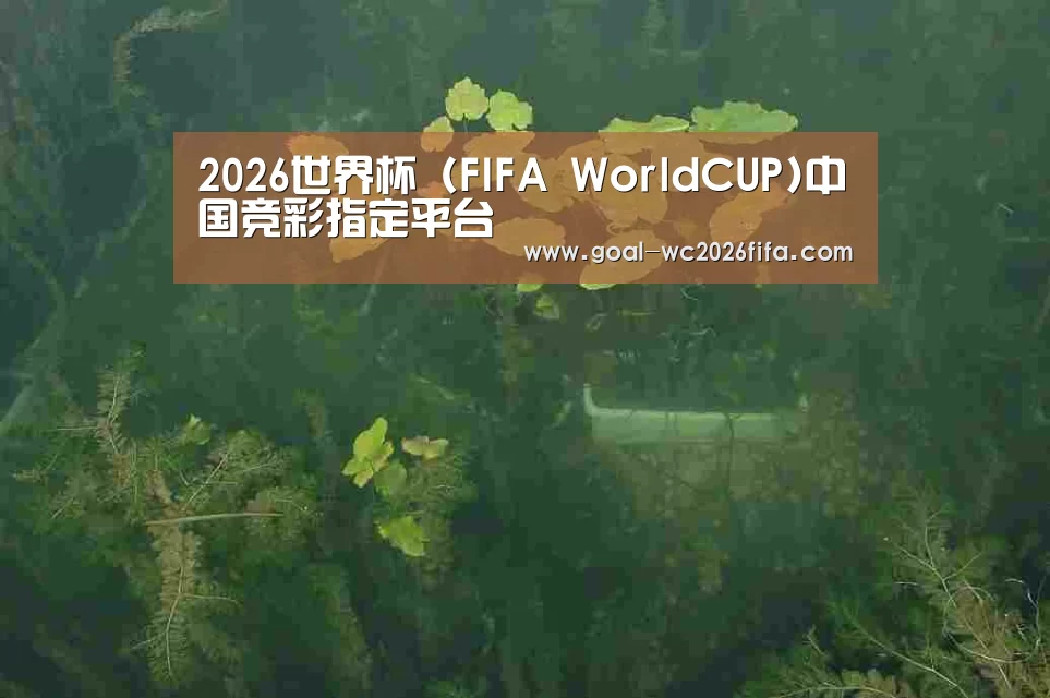 案例展示三