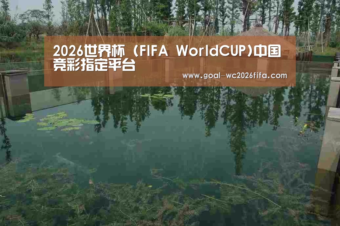 案例展示二