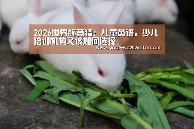 2026世界杯竞猜:儿童英语,少儿培训机构又该如何选择(图2) 2026世界杯竞猜