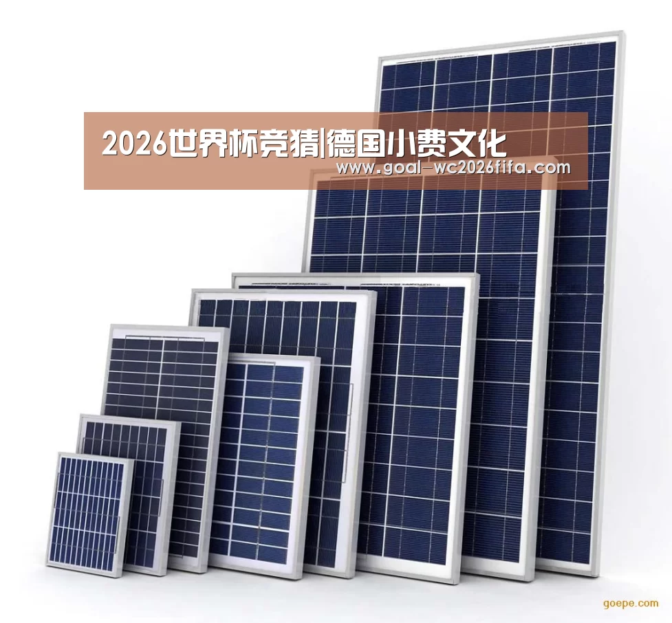 2026世界杯竞猜|德国小费文化(图1) 世界杯下注