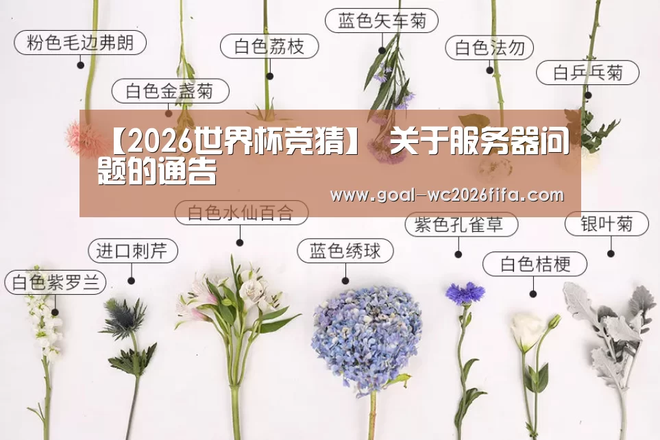2026世界杯竞猜